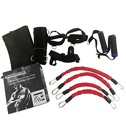 100lbs Fitness Resistance Bands Set Workout Equipment For Arms Legs Strength And Agility Force Training Boxing Basketball Jump Agghan1114 (Color : Red)