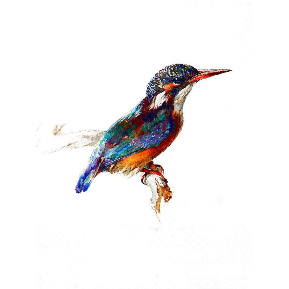 Wee Blue Coo Painting Bird Kingfisher Ruskin Art Print Poster Wall Decor 12X16 Inch