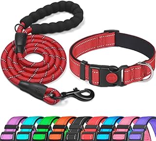 haapaw Reflective Dog Collar Padded with Soft Neoprene Breathable Adjustable Nylon Dog Collars for Small Medium Large Dogs