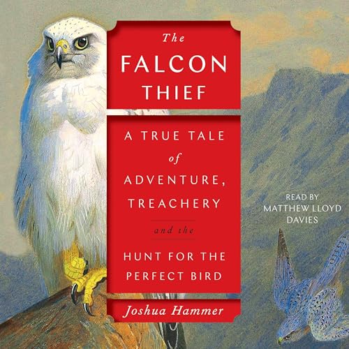 The Falcon Thief by Joshua Hammer episode artwork