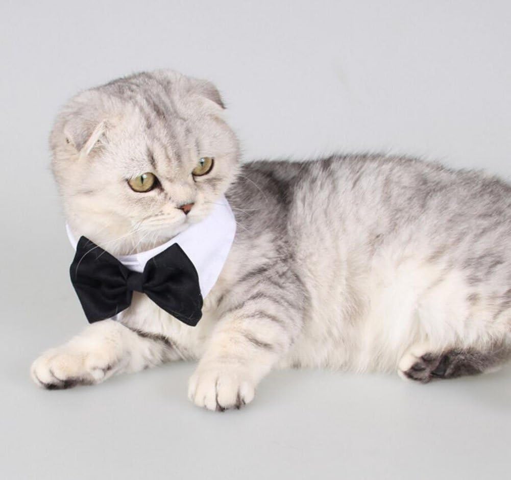 2 Pezzi Cane Gatto Cravatta Formale Collare Cotone Animale Domestico Regolabile Papillon Bowknot per Nozze Partito