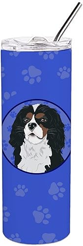 Caroline's Treasures WDK1118TBL20 Cavalier King Charles Spaniel Tricolor #1 - Vaso delgado de acero inoxidable de 20 onzas, vaso térmico de doble