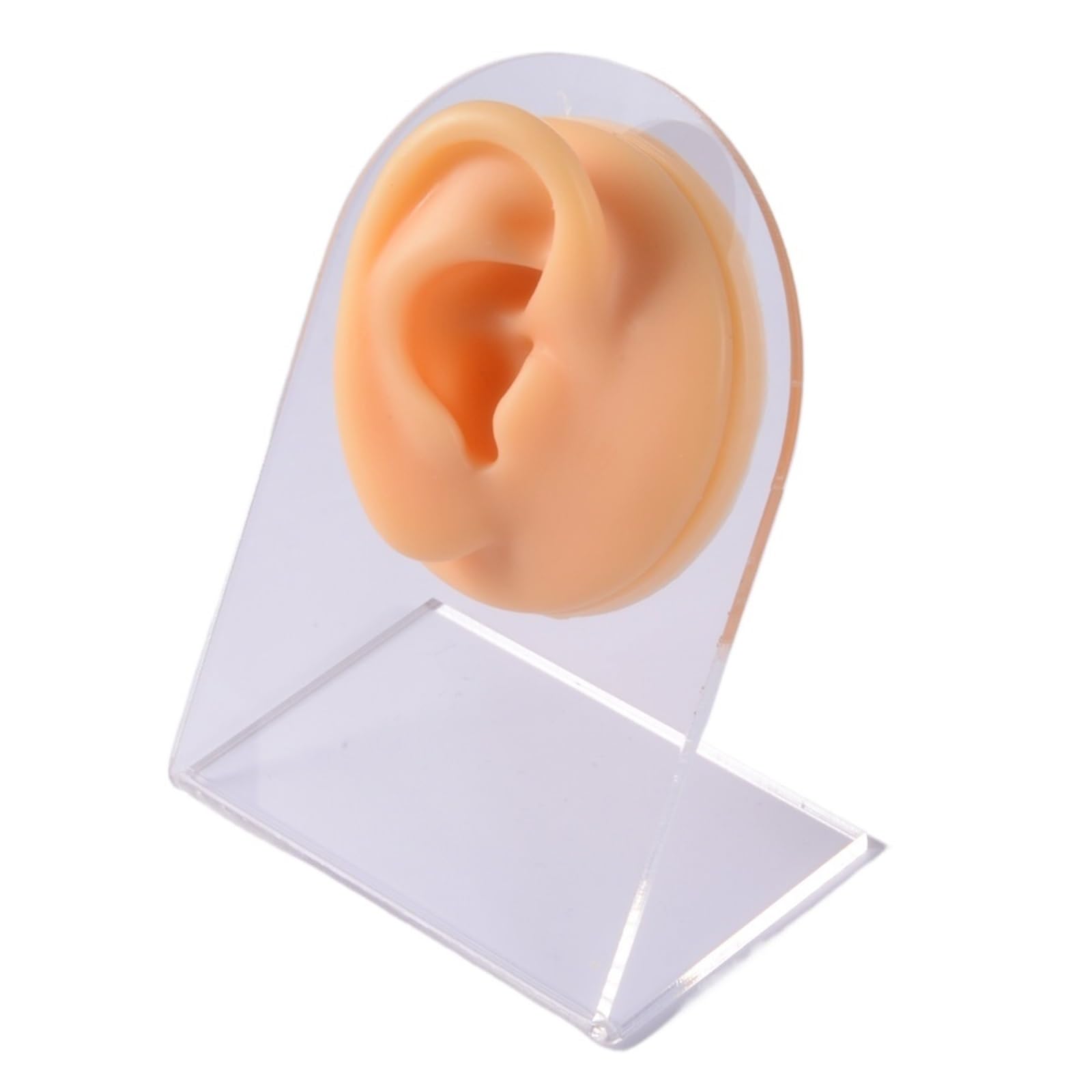 Symulacja Praktyki Nakłuwania Silikonowy Ucho, Nos, Warga, Pępek, Piercing Brwi Model Z Akrylowym Stojakiem(Right Ear)