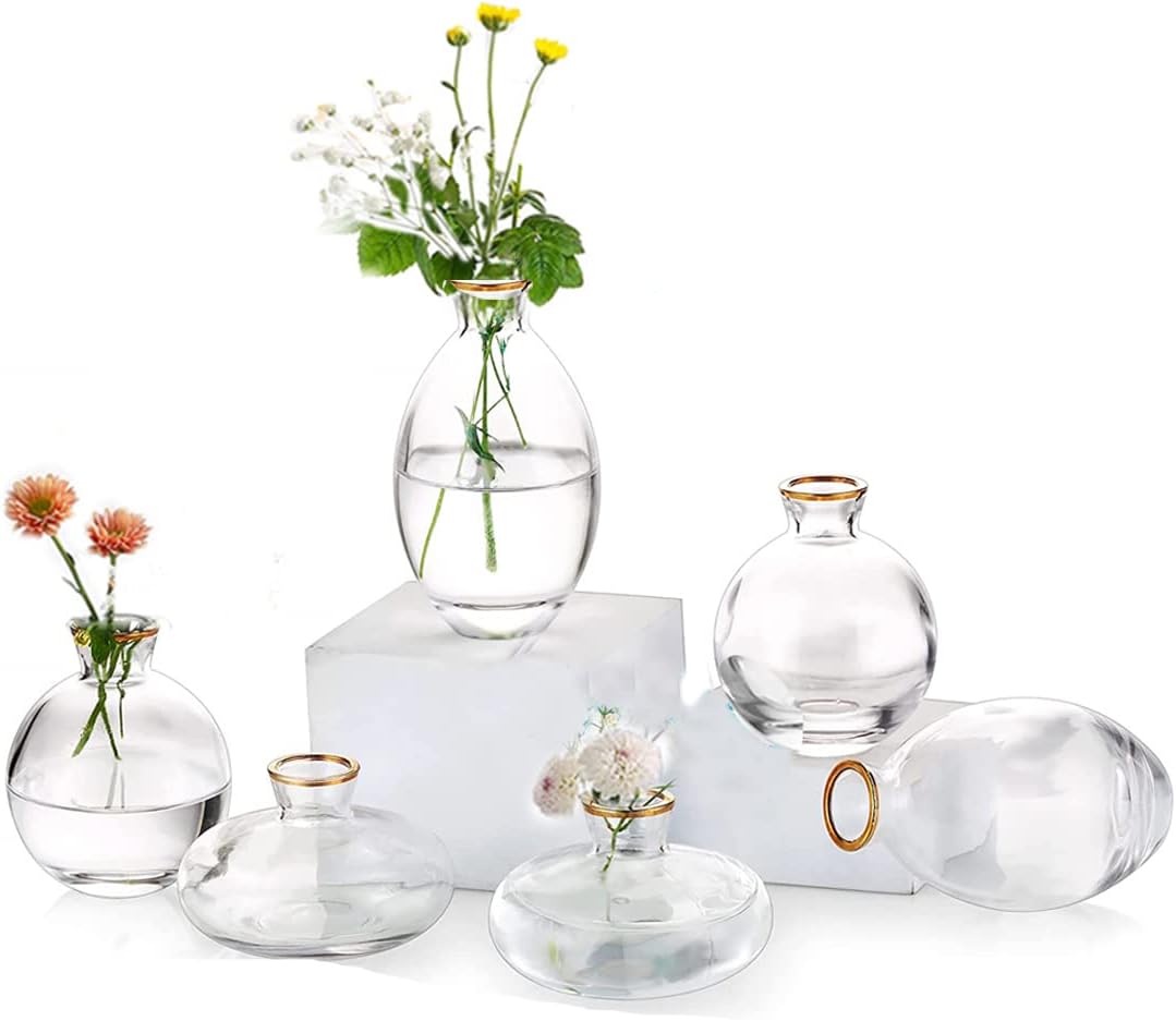 EylKoi Bud Vases Glass Mordern 2sets(6Pcs) Clear with Gold Rim Small