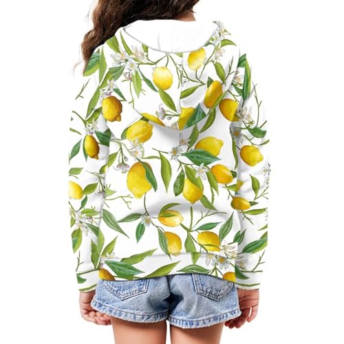 Image of Unisex Zipper Sweatshirt Boys Girls Hooded with 2 Pocket Pullover Hoodies for 6-16Y Kids