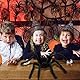 NieYat Spinne, Halloween Deko, 75 cm Schwarze Vogelspinne, Gruselige Partydekoration für Innen- und Außenbereich, Plüsch-Dekoration für Halloween, Karneval oder Mottoparty