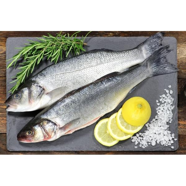 Florida Fresh Whole Bronzini , Farm Raised Whole Mediterranean Sea Bass – Premium Seafood , Mild, delicate flavor with a soft flaky texture ideal for grilling or baking , Whole fish ready for oven, grill, or traditional Mediterranean recipes [ 80 oz , 5 lb ]