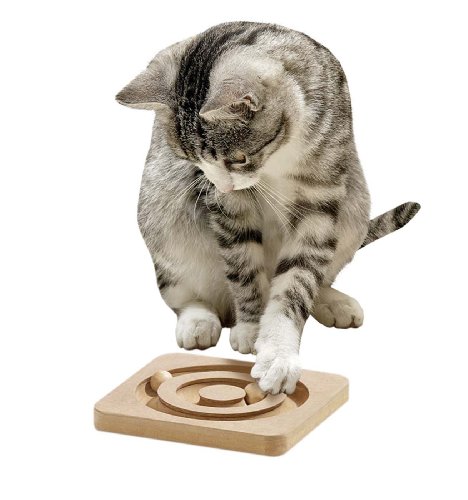 Karlie Kitty Brain Train Cirkel L: 19 cm B: 19 cm H: 2 cm