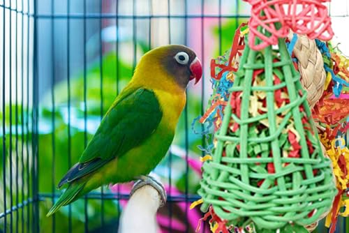 Image of Foraging Toys with Extra Shredded Paper, Parakeet Chewing Hanging Toy, Bird Cage Accessories for Conure Cockatiel Budgies Lovebird Parrotlet