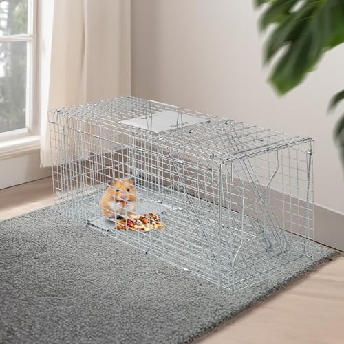 Outopee Live Animal Cage Trap, Folding Humane Cat Trap with Handle for Rabbits, Stray Cats, Squirrels, Raccoons, Skunk, Mole, Groundhogs and Opossums, 79 x 29 x 32 cm, Silvery