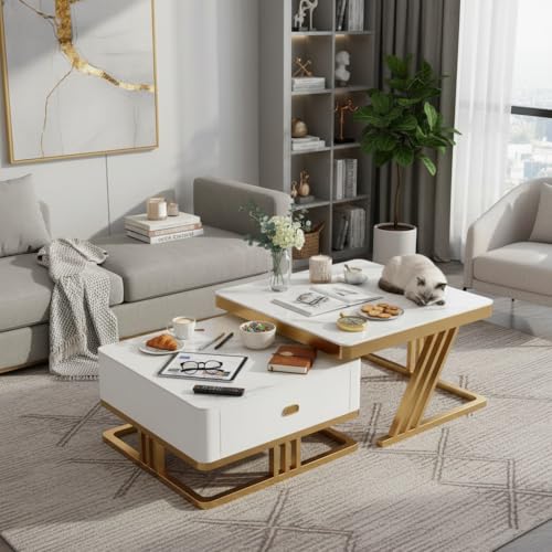 Image of RIZIK Stores Iron Frame Handmade Drawer Square Coffee Table /Nesting Table /Side Table /Center Table with Engineered Wood Top for Living Room /Drawing Room /Balcony (White Gold, 24 inchx24 inch)