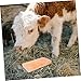 Toddmomy Natural Mineral Salt Block for Cattle Sheep and Horses Promotes Digestion Rich Nutrients Long-Lasting Licking Salt for Better Nutrition and Health