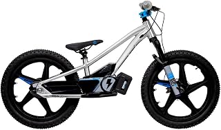 Brushless 20eDRIVE Team Edition Electric Balance Bike for Kids Ages 10-12 Years Old