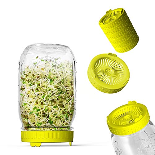 HCDMRE Sprouting Lids,6 Pack Plastic Sprout Lid for Wide Mouth Mason Jars, Easy Rinse and Drain Sprouting Screens for Growing Bean Sprouts, Broccoli, Alfalfa, Salad Sprouts,Yellow