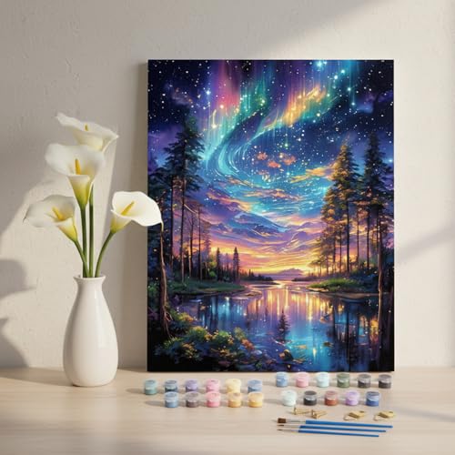 Image of HASTHIP DIY Paint By Numbers for Adults and Kids, Fantasy Aurora Night Sky Forest Landscape Wall Decor, Beginners Pre-Outlined Acrylic Number Painting Canvas for Home Decor, 40x50cm