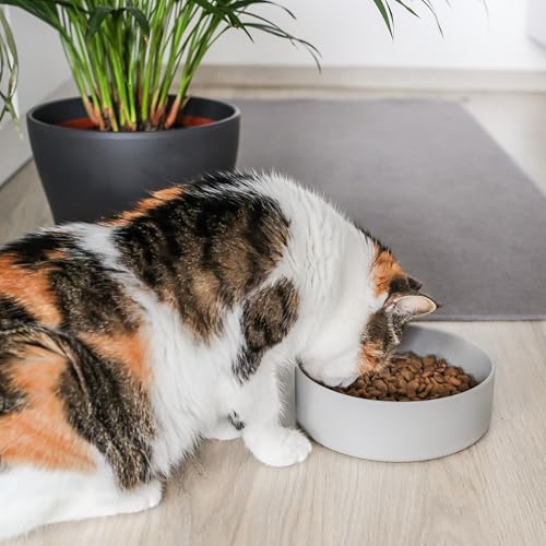 ne&no® Silikon Fressnapf 1200 ml für kleine und mittelgroße Hunde | Futternapf Hund rutschfest | Hunde Trinknapf | Hundenapf