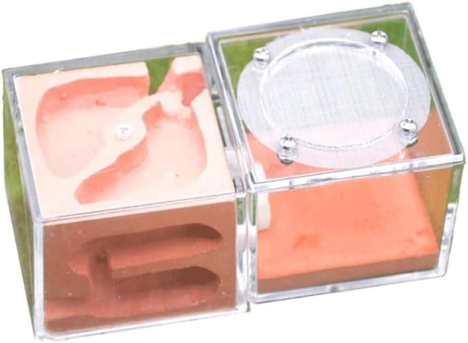 Ant Farm Ant Castle Nest Plaster Farm Palace Kids Habitat(Pink)