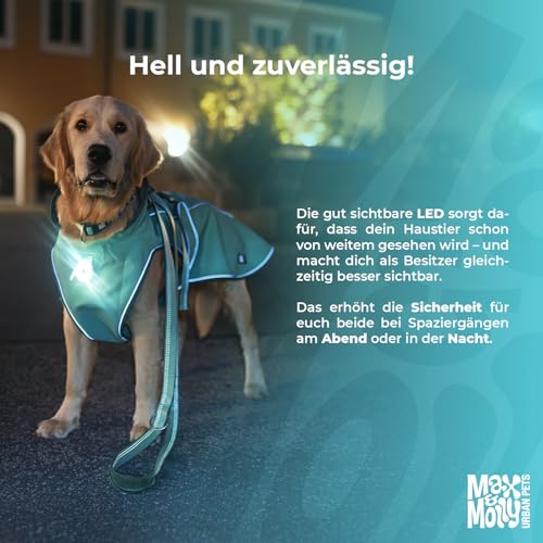 Max & Molly Matrix 2.0 Ultra LED, Hundelicht für Geschirr, Leine & Halsband, Schwarz, Wasserfest, USB Wiederaufladbar, Hundelampe LED, Hunde Leuchtanhänger für mehr Sicherheit bei Nacht