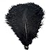 KOLIGHT 40pcs 12'~14'(30~35cm) Natural Ostrich Feathers for DIY Home Wedding Party Office Decoration (Black)