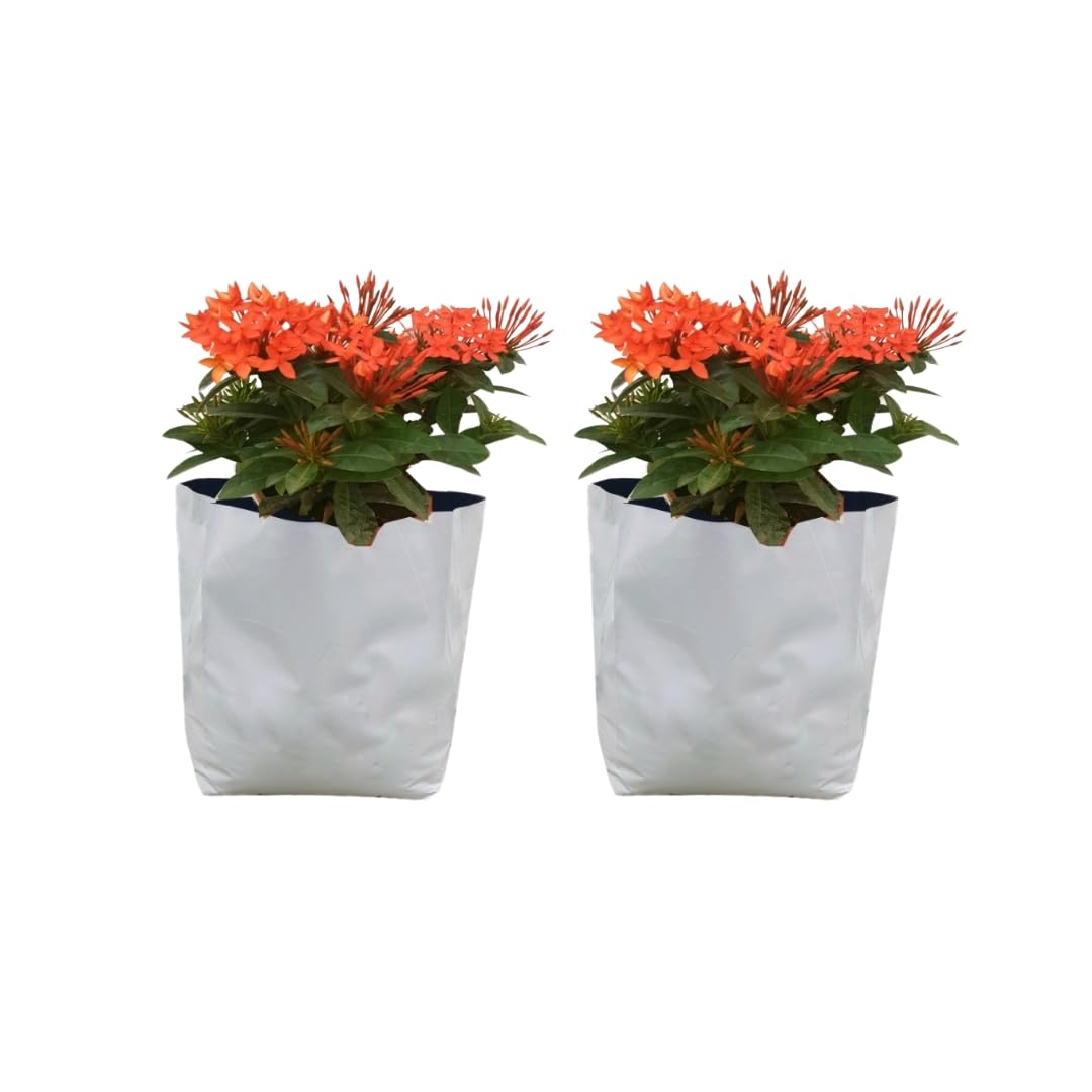 cocogarden UV Treated Poly Grow Bags for Terrace Gardening (28 x 28 x 48) cms (White, Pack of 2) | Home Gardening Plant Container Bag for Leafy Vegetable and Flower Plants (B07QL3QWHW) Amazon Price History, Amazon Price Tracker