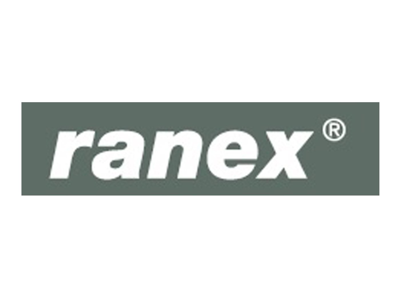 Ranex Lot de 2 luminaires en forme de borne avec détecteur de mouvement, hauteur 45 cm, balises lumineuses extérieures