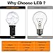 IELECMG LED String Lights Outdoor 35 FT G40 Patio String Lights 32 Bulbs(2 Spare) Linkable Dimmable Waterproof Decorative Lighting with Remote for Garden Wedding Party Decorations