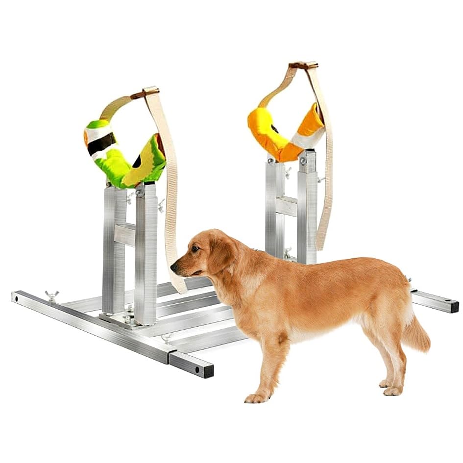 Dog Breeding Stand(Multi-Specification) Adjustable Height and Length,Stainless Steel Dog Breeding Stand,Disabled Dog Stand up (SLIVER,M)