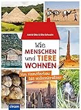  Wie Menschen und Tiere wohnen: Von Hamsterbau bis Wolkenkratzer
