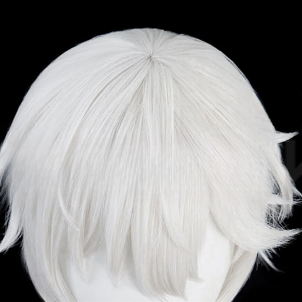 Amazon.co.jp: ニコライ・ゴーゴリ ウィッグ かつら コスプレウィッグ