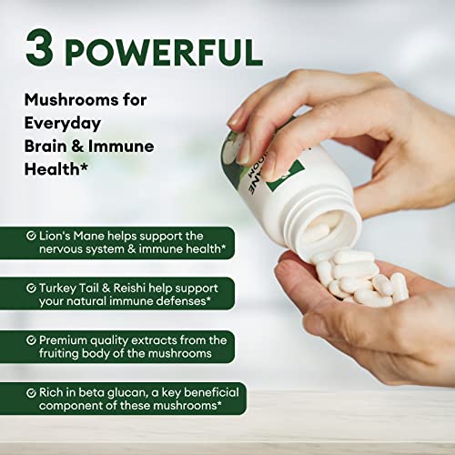 Lukaree Lions Mane Supplement Capsules - Turkey Tail with Cordyceps & Reishi for Brain Support and Immune Health - Alt to Mushroom Gummies, Powder & Coffee - 60 Count Made in USA - Image 5