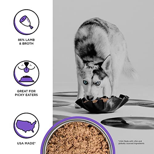 bixbi rawbble grain-free canned wet dog food lamb recipe 125 oz cans pack of 12