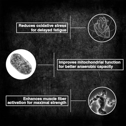 Image of BeastLife Creatine Monohydrate Powder 100g (33 Servings) Unflavoured | Super Micronized for Fast Absorption | NABL Lab Tested | Boosts Strength & Athletic Performance