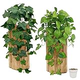 SHEPIN 2 Stück Hängepflanze Künstlich mit Töpfen, Süßkartoffelblätter und Efeututenblätter Kunstpflanze Hängend, wie echt Artificial Plants Plastikpflanzen Deko für Indoor Outdoor Draußen Garten Deko