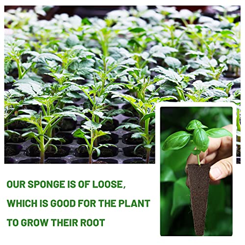 70 Pack Grow Sponges, Seed Pods Replacement, Sponges Seed Growth kit, Bulk Grow Sponges for Indoor Garden System(Brown) by KXCOFTXI - Image 4