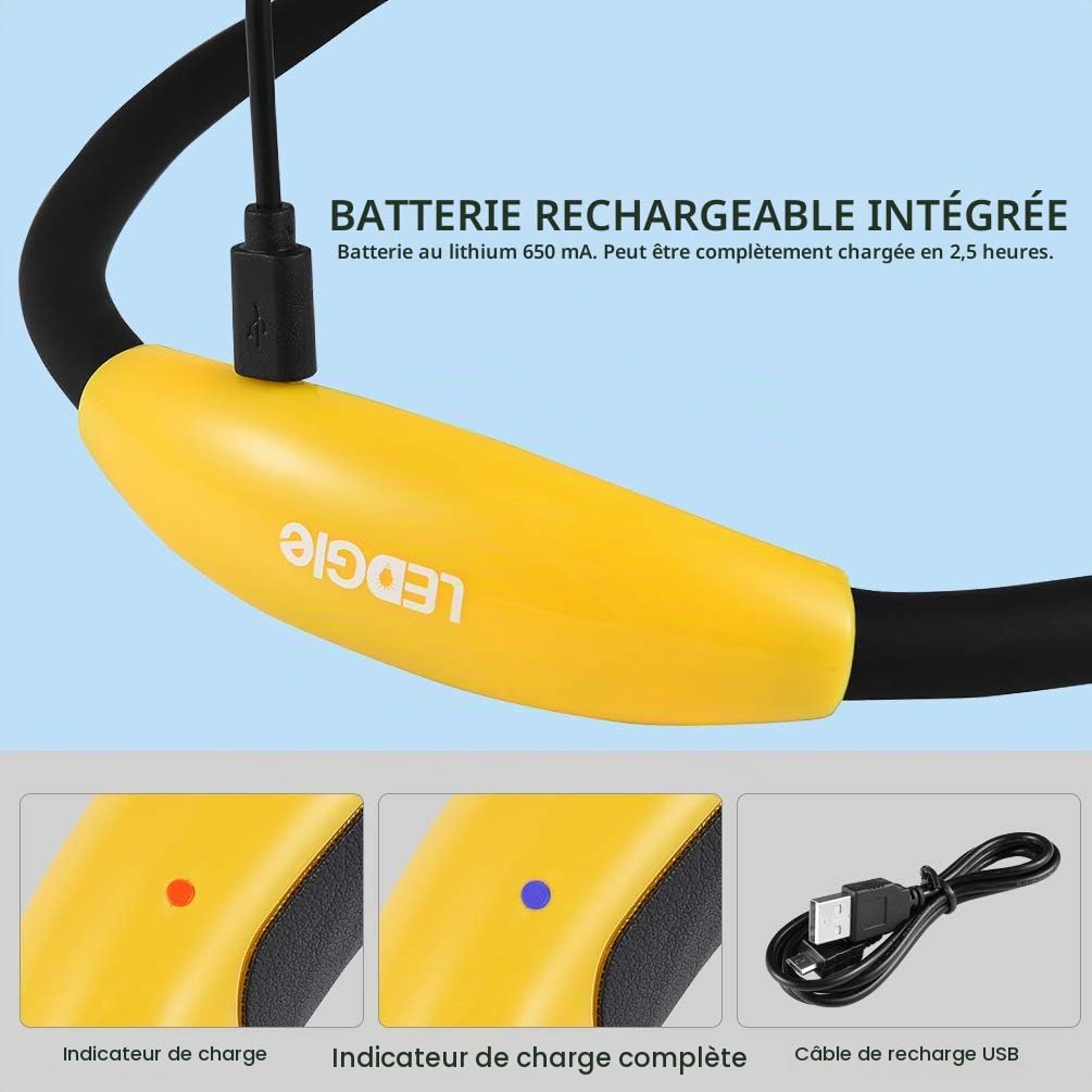 LEDGLE Lampe de Lecture LED Rechargeable, Lampe de Travail Portable avec 3 Niveaux de Luminosité Réglable-Câble USB Inclus