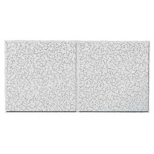 Armstrong 2x4 Ceiling Tiles - 10 pcs White