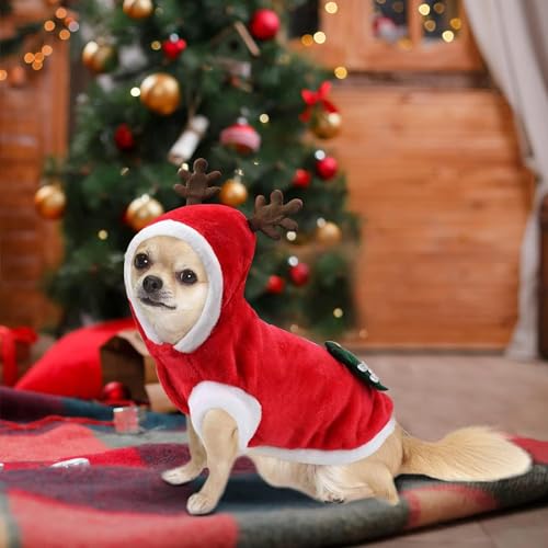 Weihnachten Haustier Kleidung, Hundekostüm Weihnachte, Haustier-Elch-Weihnachtskostüm, Weihnachten Katzen Kleidung, Pet Hoodies warme Hundemantel für Katzen Hunde Schnauzer Teddy Pudel Chihuahua (M)
