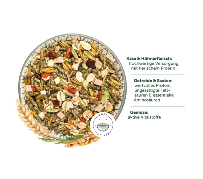Bunny FarbmausTraum Basic | 500 g | Alleinfuttermittel für Farbmäuse | Ohne Zucker, Zusatzstoffe, Geschmacksverstärker oder Farbstoffe | Mit Käse & Hühnerfleisch