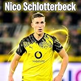 Nico Schlotterbeck Song, Nico – Fels in Schwarz und Gold
