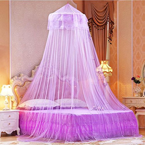 CHANG XU DONG SHOP Mosquito Net Dome para Single Twin Full to Queen Size Encaje Princess Bed Canopy Insect Fly Protection Screen Instalación fácil (Color : Púrpura) Cover