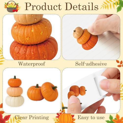 Image of Fall Pumpkin Self Adhesive Easy Peel Sticker for Laptop Scrapbook | 16 Realistic Fall Harvest Designs Waterproof Vinyl Strong Adhesion No Residue for Journals Water Bottles Water Bottle