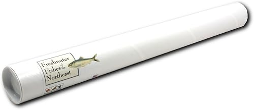 Miniatura 2 de Earth Sky + Water - Peces de agua dulce del noreste - Póster