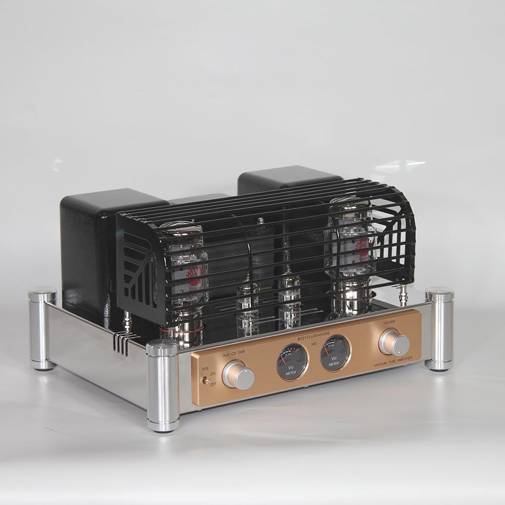 Amazon.com: Boyuurange (Reisong) X80 KT88 x2 Tube Amplifier