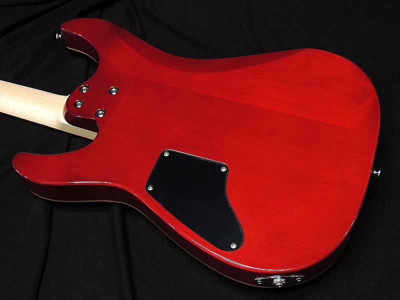 Amazon | SCHECTER JOL-CT-6 BKCH フレイムメイプルトップ シェクター