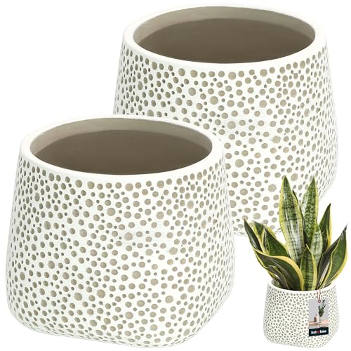 KOTARBAU® Blumenübertopf unglasiert Mattes Finish Grau bauchig ⌀ 11 cm | H 11 cm 2 St. Blumenübertöpfe Übertöpfe für Zimmerpflanzen Keramik-Blumentopf Gross Blumentopf modern