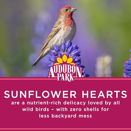 Audubon Park Sunflower Hearts Wild Bird Seed for Outside Feeders, 15-lb. Bag - Image 4