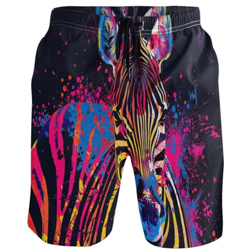 Men's Rainbow Zebra Swim Trunks Shorts Swimwear Beach Board Short Bathing Suits with Pockets S