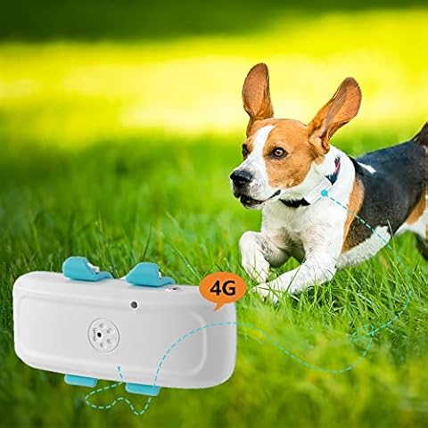 Zeerkeer 4G GPS Pet Tracker Real Time Tracking Anti Lost Dog GPS Tracker IP66 Waterproof 4G Tracker Activity Monitor for Pets, Free APP Cover