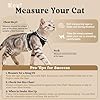 rabbitgoo Cat Harness and Leash, Escape Proof Vest with 3 Adjustable Buckles, Soft Comfortable Kitten Harness, Easy to Wear, Reflective for Safe Outdoor Walking, Small, Black #1