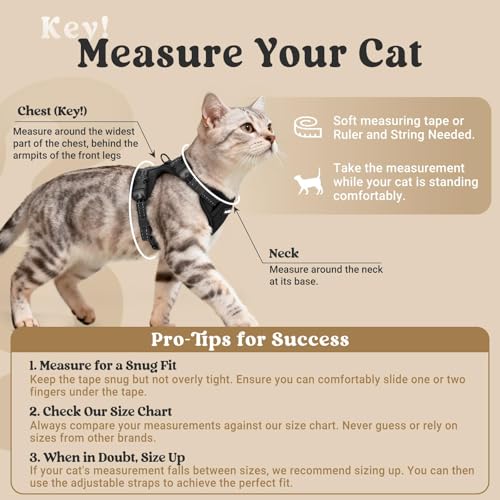 rabbitgoo Cat Harness and Leash, Easy-on with Neck Buckle, Black | Escape Proof, No Over-the-head, Soft Air Mesh, 3 Lockable Adjusters & Buckles, Reflective, for Small to Average Cats Walks, S - Image 3